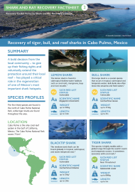 Shark and Ray Recovery Factsheet 2 - Cabo Pulmo, Mexico