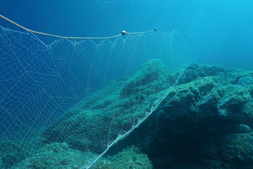 Gill nets – fishing nets hanging vertically like underwater curtains