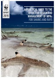 A Practical Guide to the Effective Design and Management of MPAs for Sharks and Rays