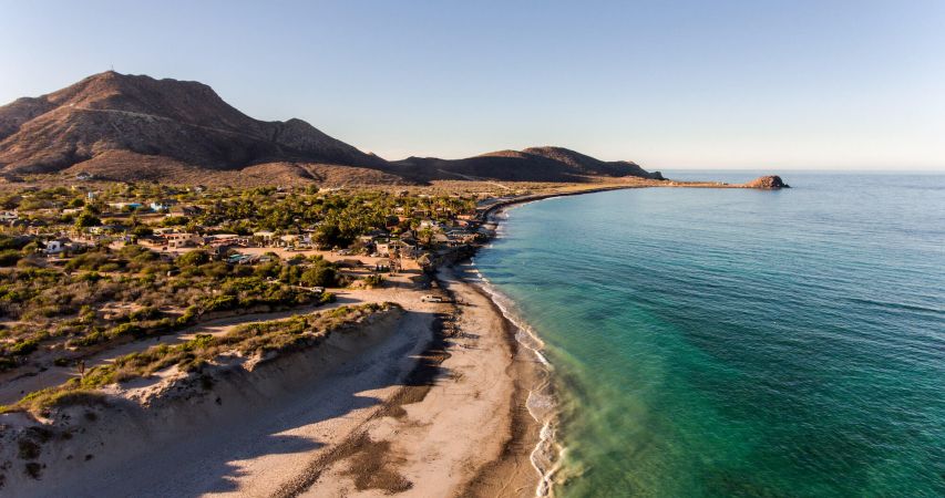 Saving reefs - and sharks - of Cabo Pulmo
