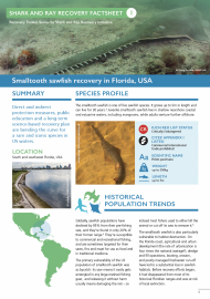 Shark and Ray Recovery Factsheet 1 - Smalltooth sawfish in Florida, USA
