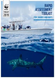 Rapid Assessment Toolkit for Sharks and Rays