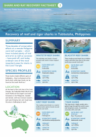 Shark and Ray Recovery Factsheet 3 - Tubbataha, Philippines